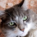 Devon Felton - @DevonFelton913 - Twitter