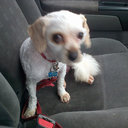 Brenda mccormack - @brendakerins5 - Twitter