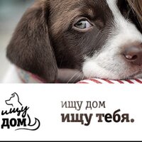 Ищу Дом (@ishydom) 's Twitter Profile