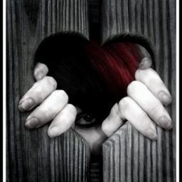 SelvinNuez's profile picture. 