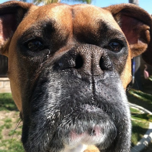 EliseHoward2's profile picture. 