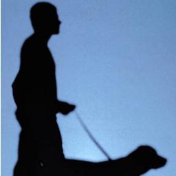 Set up to look after peoples pets covering the Wymondham area. I offer a dog walking and pet feeding service.  07736 037803