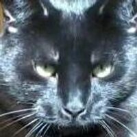 Loz (@kittiecockney) 's Twitter Profile