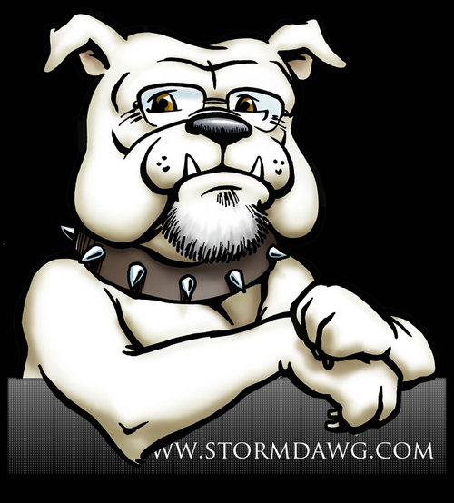 StormDawgTweets's profile picture. The infoGROUP voice for Small Business