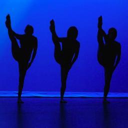 Dance and Circus Arts of Tampa Bay. Tampa Bay's first and only dance and circus arts school! Check us out!