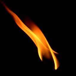 kri8or's profile picture. 