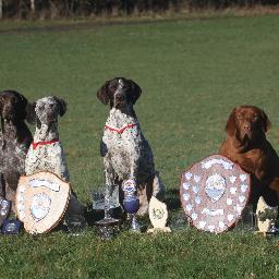 GundogTrainerUK's profile picture. East Sussex professional gundog trainer. structured training for HPR Retrievers&Spaniels