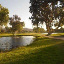 One of San Diego's most popular golf courses, Cottonwood Golf Course is where you tee off to have fun!
