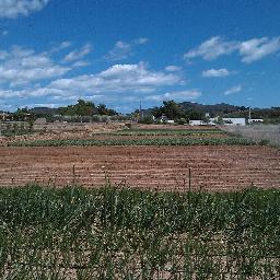 Ca_Ceba's profile picture. Somos agricultores ecológicos, buscamos el desarrollo de modelos alternativos  fundamentados en los principios ecológicos y biodinámicos.