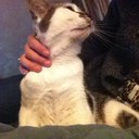 Ryan Marie - @rmp_19 - Twitter