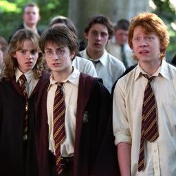 I'm Harry Potter. I am the chosen one. Yes I do have the scar. Best friends with Ron and Hermione. Son of James Potter and Lily. I got my wand from Olivanders.