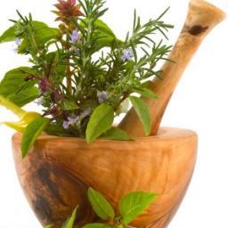 Nutricion, pérdida de peso,dietas,belleza,cuidado de la piel: https://t.co/e6cff4rgg0
