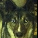 Chris falkiewicz - @Pengy6834 - Twitter