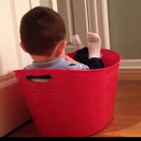 Peter J. Risi Sr. (@risipeterjsr) 's Twitter Profile