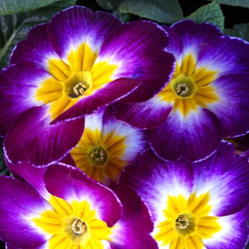 beyoung050's profile picture. 