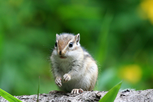 gerehay1's profile picture. フラメンコ習ってます♪まだまだ初心者ですが。。。(汗)運動はやっぱりいいもんですね☆