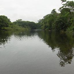 GSBB81's profile picture. 