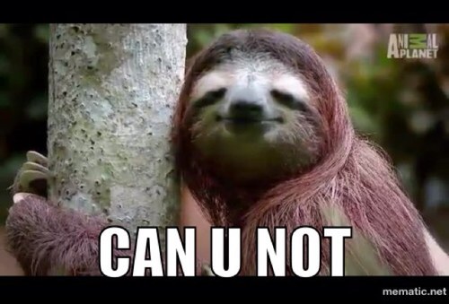 I like to hang upside down and sleep ,oh yeah im a sloth too...