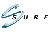 Quadruple and triple play VoIP chip and DSP boards which process video, voice, audio & data