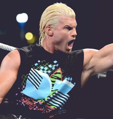 Everyone's favorite HEEL, I show off for a living. I'm the hardest worker in the WWE as of now. Damn I'm good.