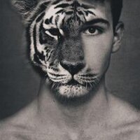 Frailty  (@frailty) 's Twitter Profile