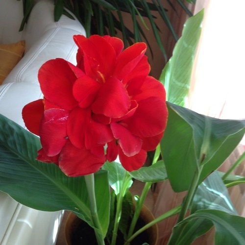 6518601's profile picture. 