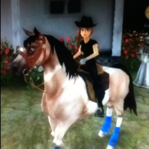 star stable is probaly the best game in the world!!! check it out at : http://t.co/QeWVndaEAv