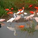 @florecita - @FlorArbelaez - Twitter