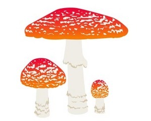 epion357's profile picture. きのこ好きです。