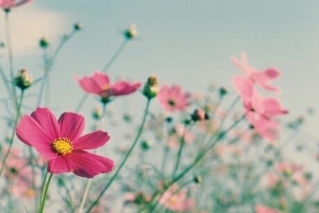 ablissfuldream's profile picture. 