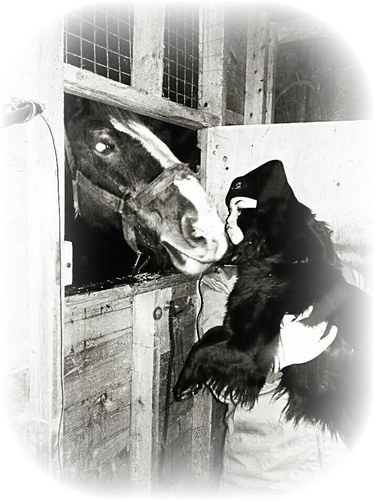 brittanyjo9's profile picture. love hockey going my 4 weeler , hanging out with my friend , playing sports , and lot other fun stuff !!