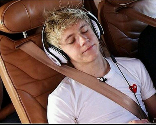 We love @NiallOfficial and @OneDirection till the end♥ keep calm and love 1D :* {}