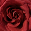 Peggy Faison - @Peggyann8 - Twitter