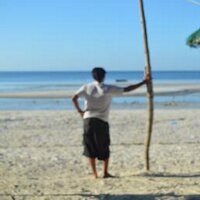 Blogging Mentor (@blogging_mentor) 's Twitter Profile