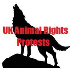 Welcome to UK Animal Rights Protests this page will be used to invite activists to protests.