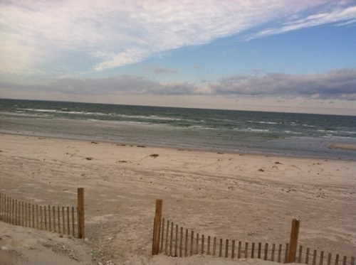 shannobot1988's profile picture. 