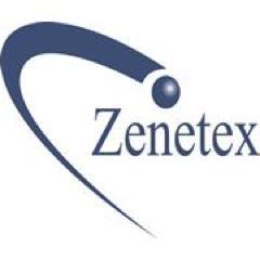 Zə-`net-iks | IT | engineering | integrated logistics | FMS | program mgmt | training systems | contractor field services | private sector | govt