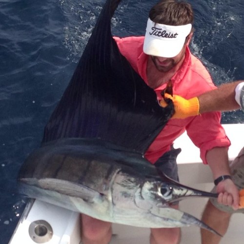 JARichardsonJr's profile picture. 