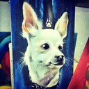 Ruben Ernesto - @RubenErnesto248 - Twitter