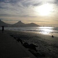 Rosie B (@roibos) 's Twitter Profile