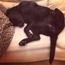 Johnson Tad - @JohnsonTad247 - Twitter