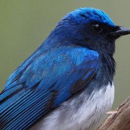 うたまっぷの自作歌詞コーナーに自作歌詞を投稿している De la wArothさんの歌詞botです。
http://t.co/LW4xw1Qi4v
ツイッターアカウント@heresy3594と同一人物です ・ワ・