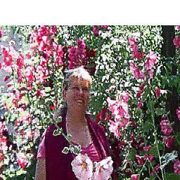 flynowpaylater's profile picture. psych major UC Riverside 1971
democrat - support progressive change in usa