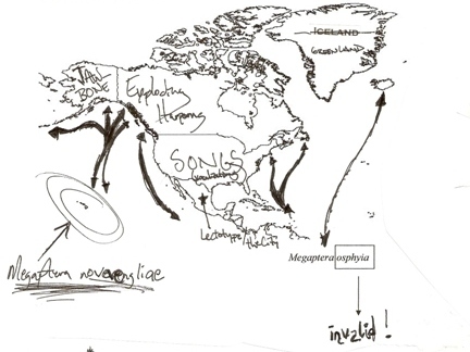 TheArchivistX's profile picture. 