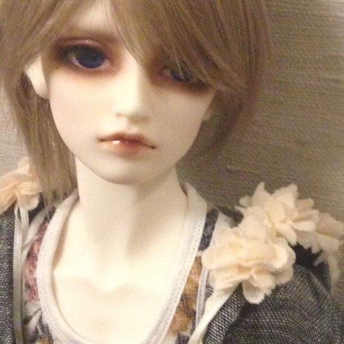 antares_3838's profile picture. ドール者出戻りです。今後はまったり愛でていく。素敵なディーラー様オーナー様をフォローさせてもらっています。