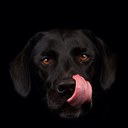 Nick Wilton - @Nickw265 - Twitter