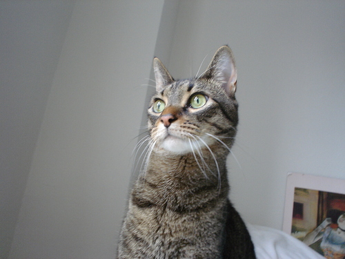 Luckybear27's profile picture. 