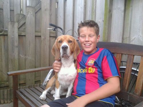 jelle09112000's profile picture. 