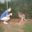 AM050593's profile image