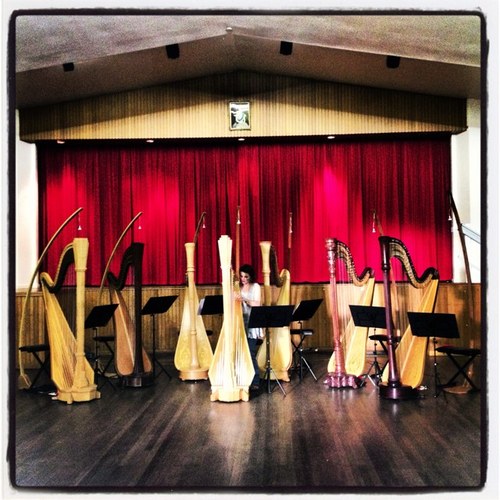 SHE, the Seven Harp Ensemble is an exciting and enchanting ensemble with a diverse repertoire including many new Australian works and audience favourites.